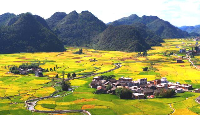 生態(tài)環(huán)境部、農(nóng)業(yè)農(nóng)村部發(fā)布《關(guān)于進(jìn)一步推進(jìn)農(nóng)村生活污水治理的指導(dǎo)意見》