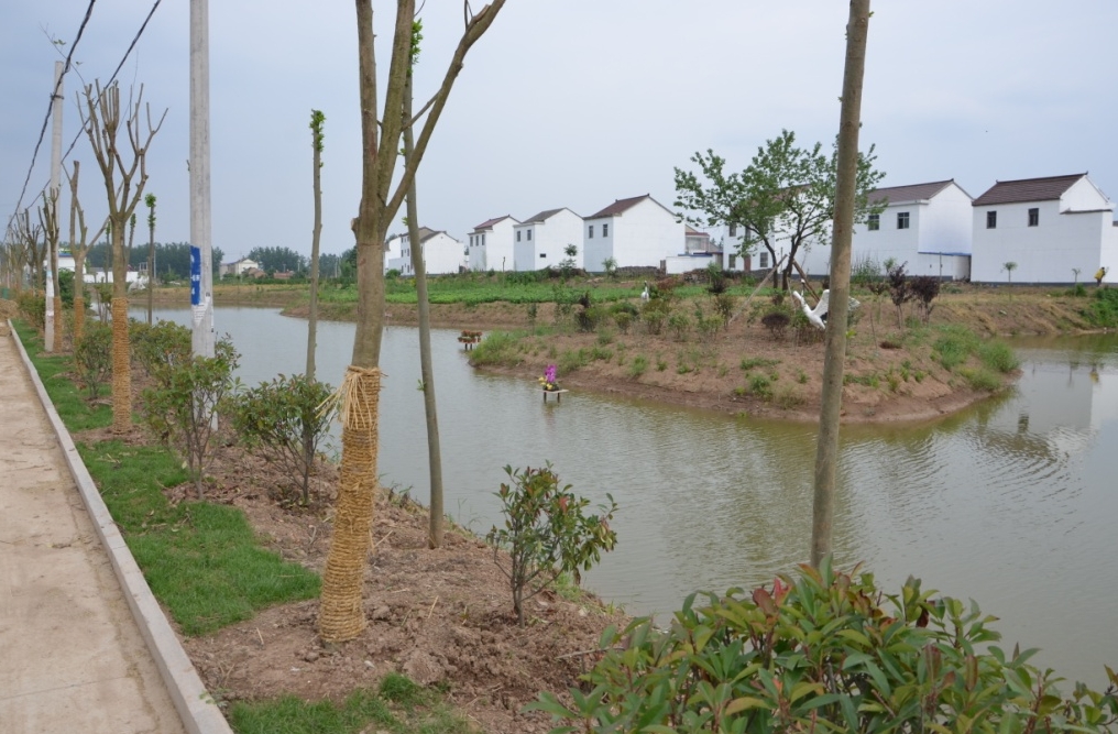 《農(nóng)村黑臭水體治理工作指南》來了！