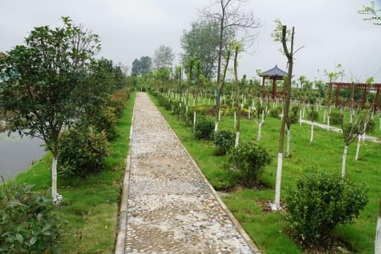 福建省生態(tài)環(huán)境廳、農(nóng)業(yè)農(nóng)村廳關(guān)于進一步加強農(nóng)村生活污水治理工作的通知！